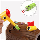 Brinquedo Pega Minhocas - Pica-Pau Rainha Store